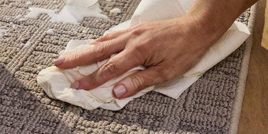 An area rug in a cozy living room, showing a spill-resistant surface in a real home setting