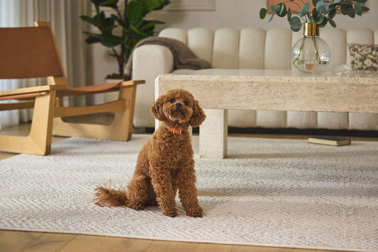 Non Toxic Area Rug: What OEKO-TEX Standard 100 Actually Means
