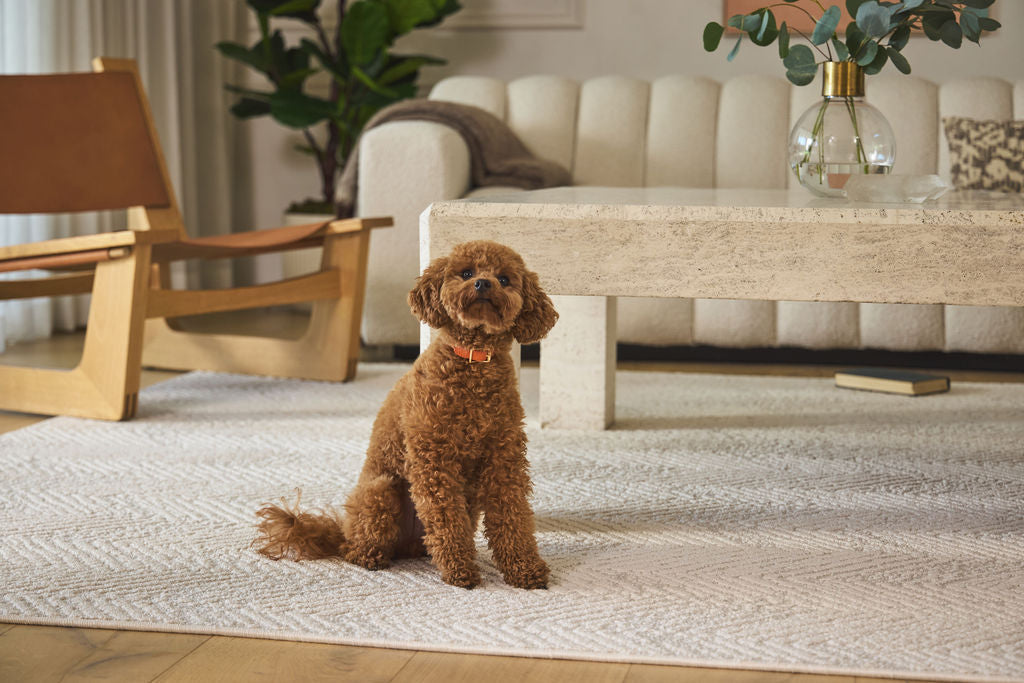 The Complete 9x12 Area Rug Guide for Open-Plan Living Spaces