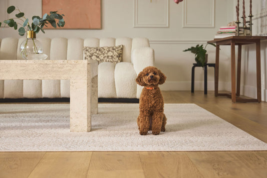 Groundstory Elementa spill resistant area rug in a living room with a dog on hardwood floors