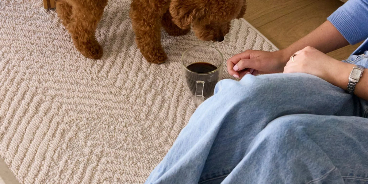 Groundstory rug styled in an indoor sunroom setting